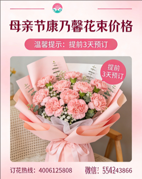 抚州资溪县花店母亲节康乃馨花束