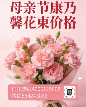 抚州资溪县花店母亲节康乃馨花束